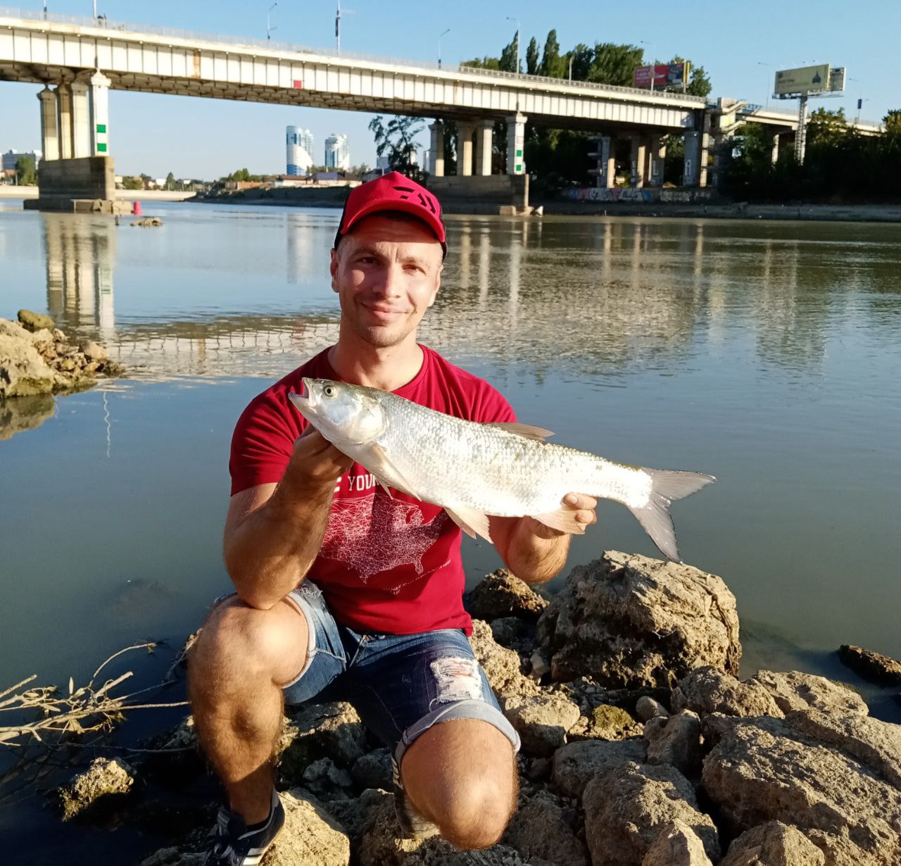 Ловля жереха на Кубани Ловля жереха на Кубани
